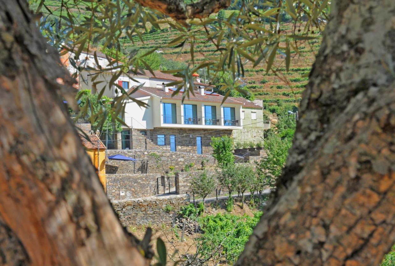 Douroxisto Aparthotel Peso da Régua Εξωτερικό φωτογραφία